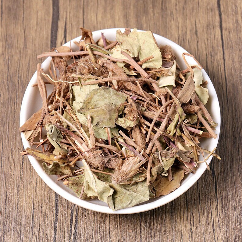 Organic Herbal Ainsliaea Glabra Hemsl. Great Quality