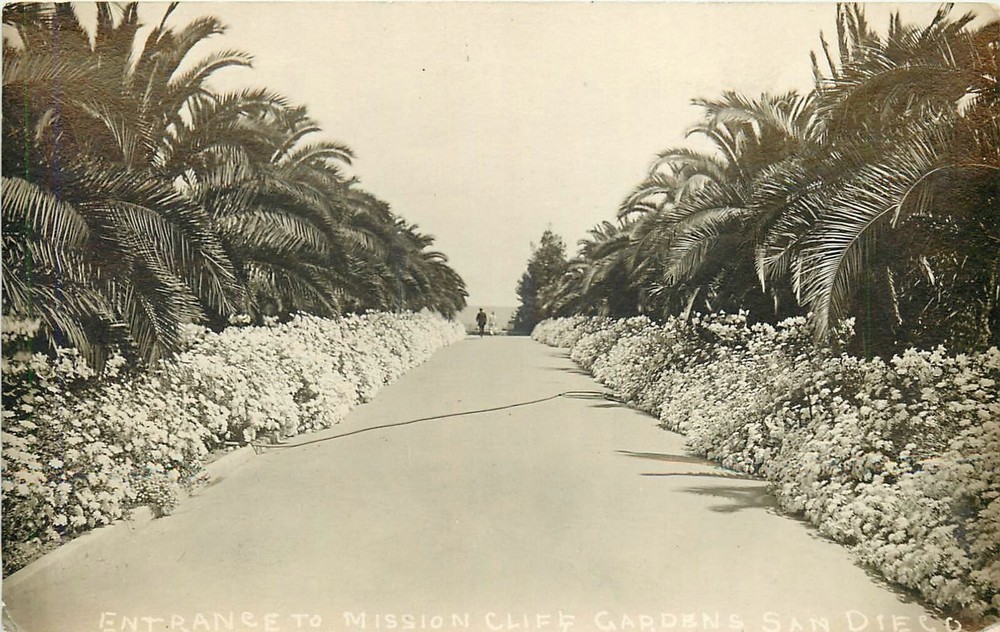C1910 San Diego California Entrance Mission Cliff Garden RPPC Postcard 25-3089