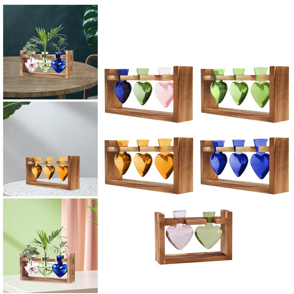 Modern Hydroponic Vase for Living Room or Country Center Table Decor