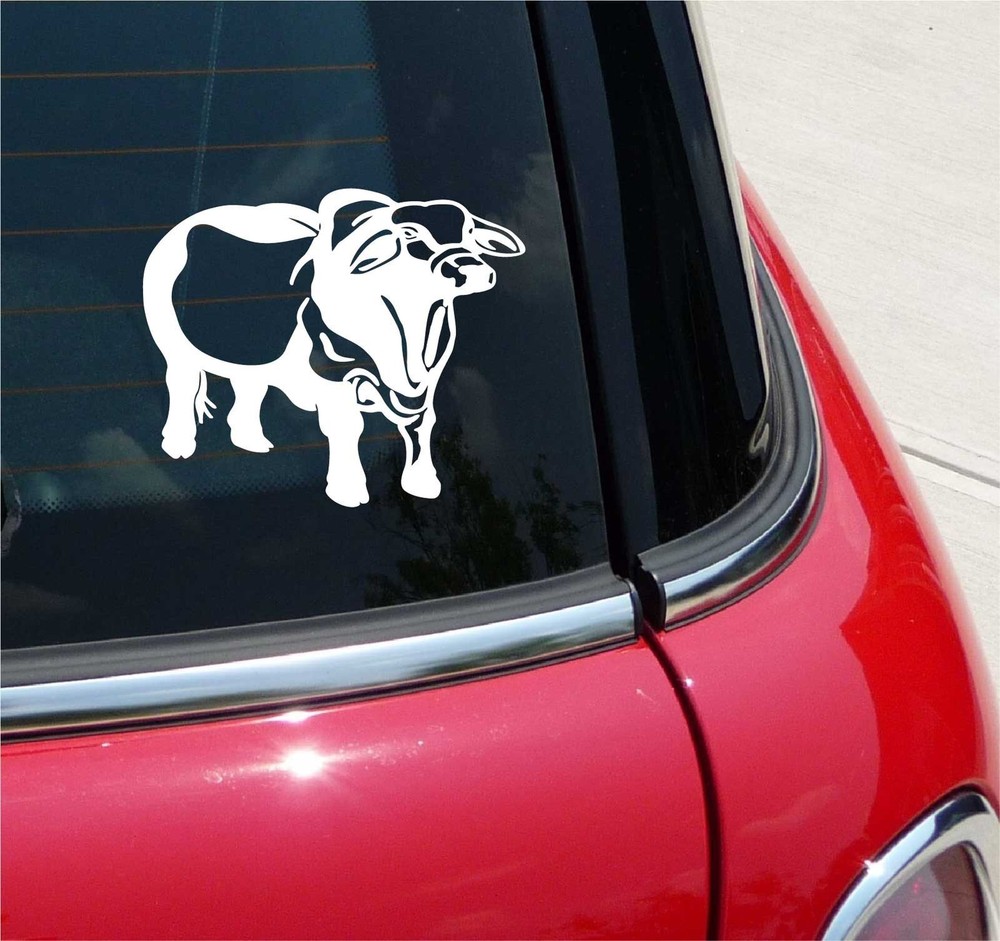 BRAHAM BULL COW CATTLE RANCH BEEF GRAPHIC DECAL STICKER ART CAR WALL