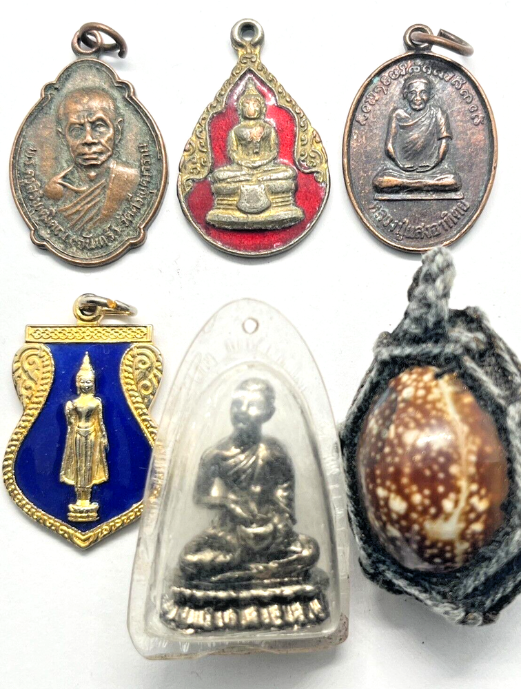 6pcs Buddha Coin Shell Thai Amulet Sacred Lucky Energy Rare Charm Blessing Set
