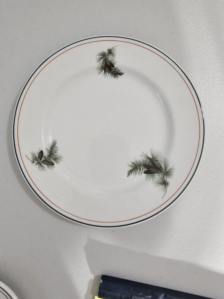 Vintage Syracuse China Lake Placid Club Pinecone Dinner Plate Restaurant China