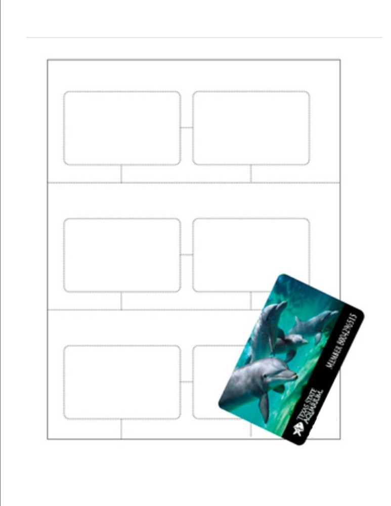 No-Tear Blank Club Cards 6-Up on 10-Mil White Paper - 25 Sheets