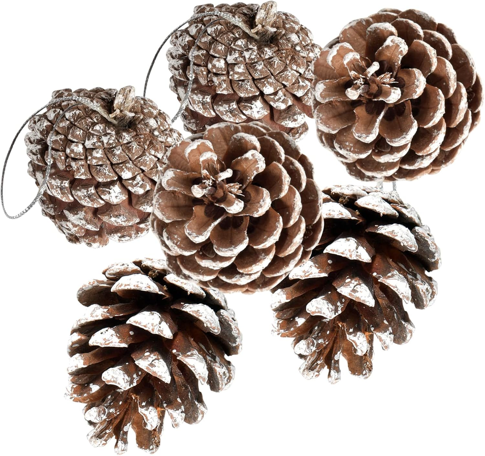 24 PCS Pine Cones for Christmas Tree Snowflake Natural Pinecones Ornament with S