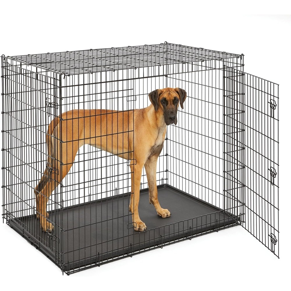 54-Inch Double Door XXL Dog Crate for Great Danes & Large Breeds-image