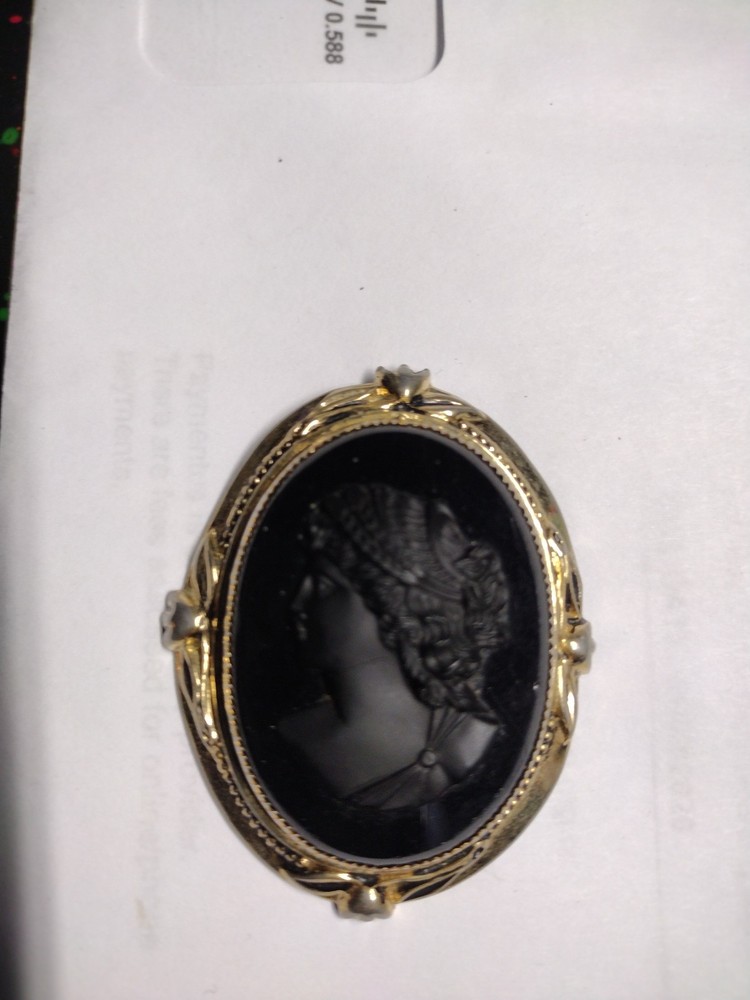 Antique 1800s Victoria Black carved Cameo Pin