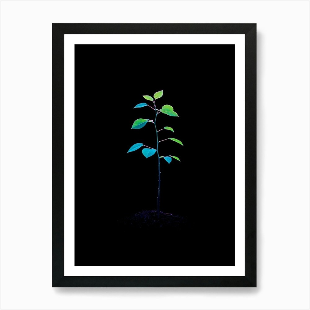 Tree In The Dark 21 Art Print Framed Wall Art Poster Canvas Print Picture