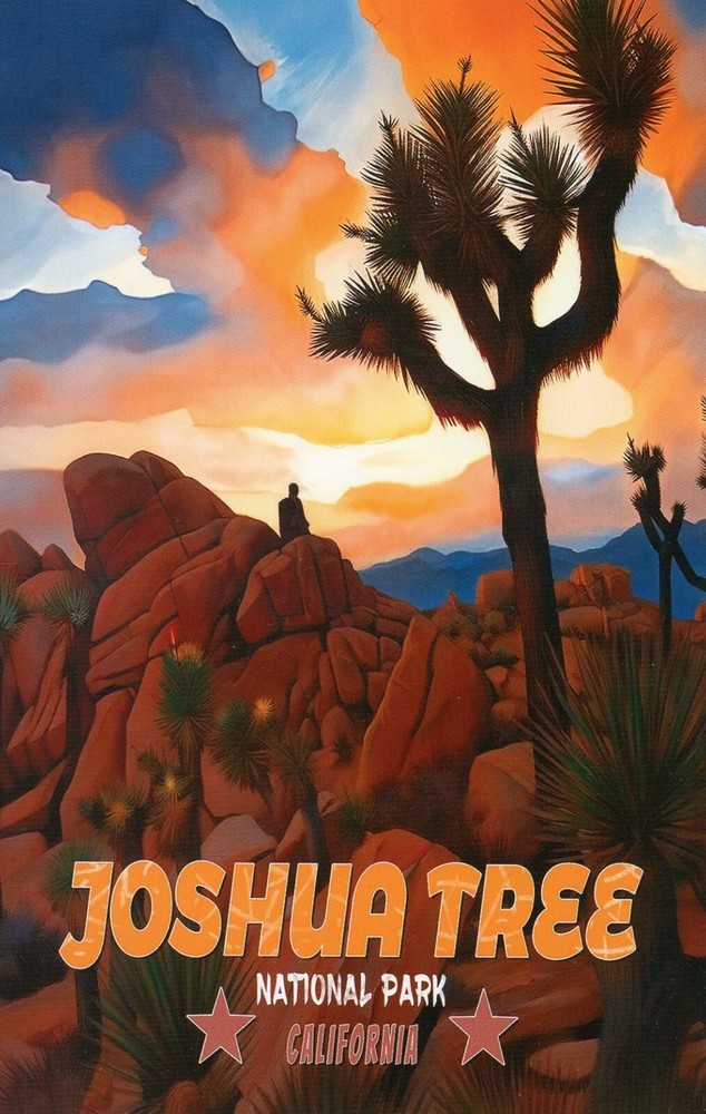 Joshua Tree National Park, Near Twentynine Palms, California --New POSTCARD