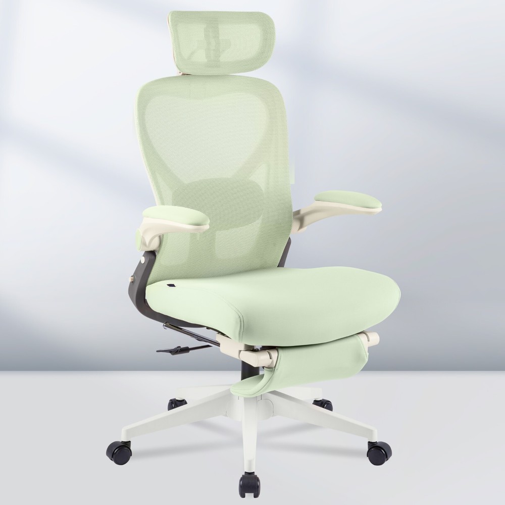 FLEXISPOT Foldex Ergonomic Office Chair with Lumbar Support, Flip-up Armrests