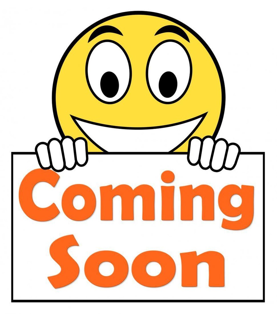 2006-2009 Lincoln Zephyr MKZ Tail Light Assembly  RIGHT Passenger Side Outer OEM