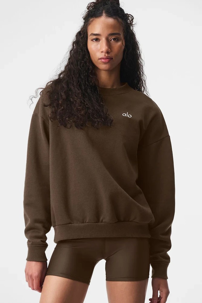 🧡*NWT*Alo Yoga Accolade Crew Neck Pullover Unisex Style Size S Color Espresso