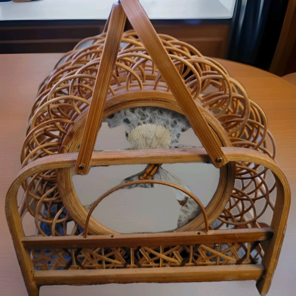 Butterfly coasters lot of 6 vintage bamboo rattan preserved butterflies