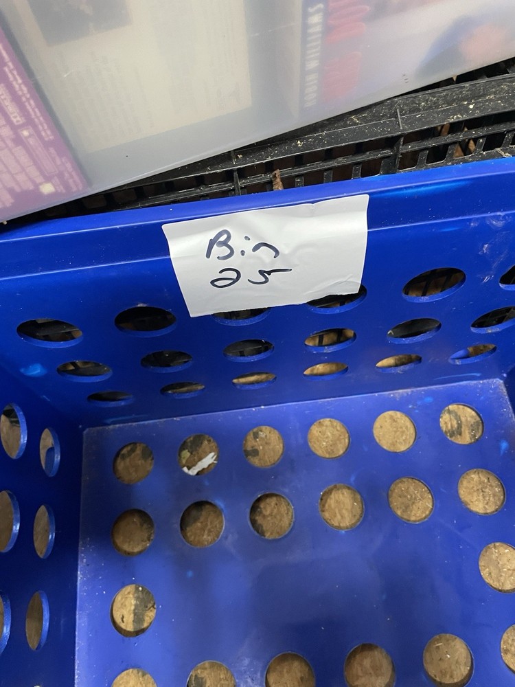 VCR Tapes  Movies Whole Lot 37 buyAlland   1 dvd Bin 25