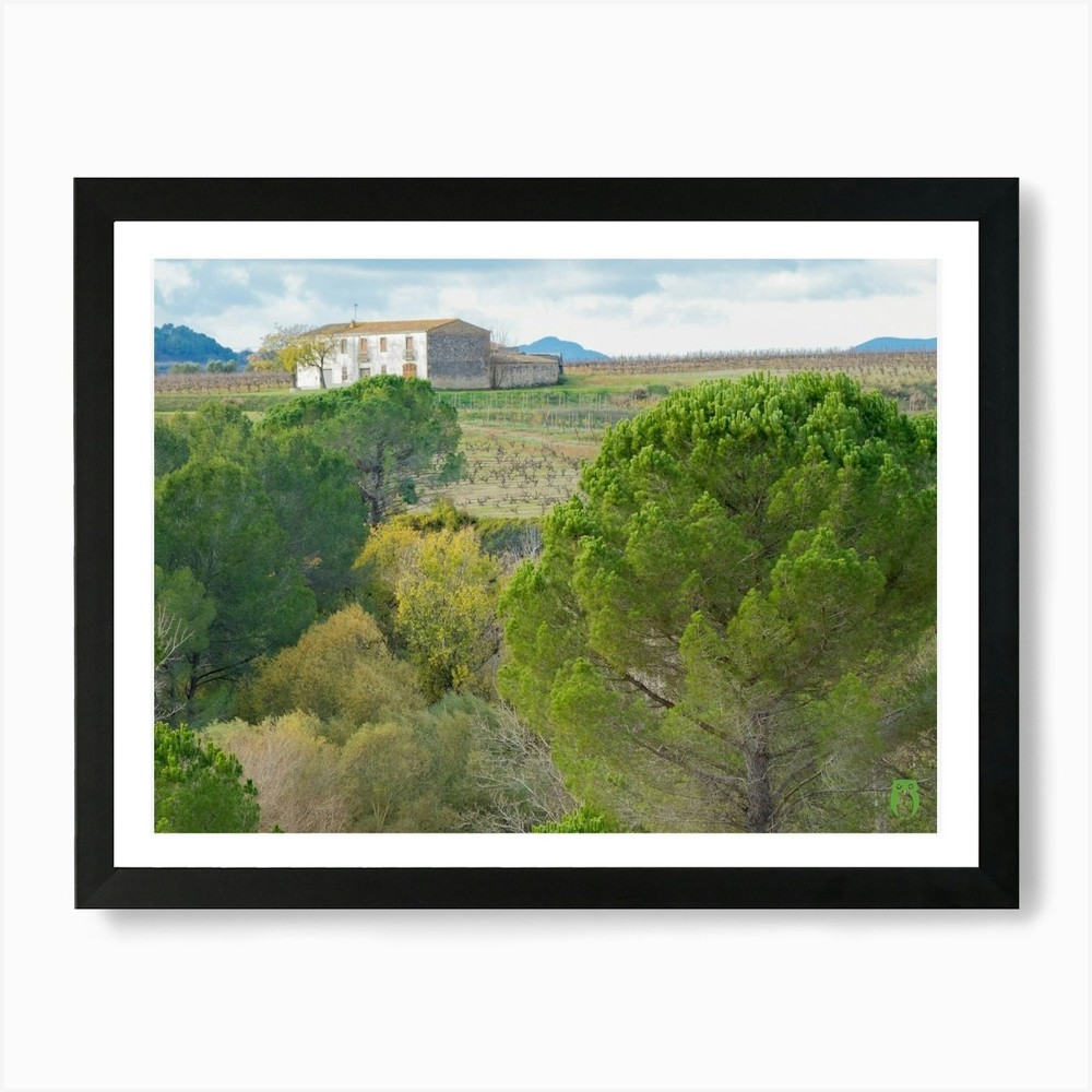 Vineyards And Trees 20211128 181ppu Framed Wall Art Poster Canvas Print Picture