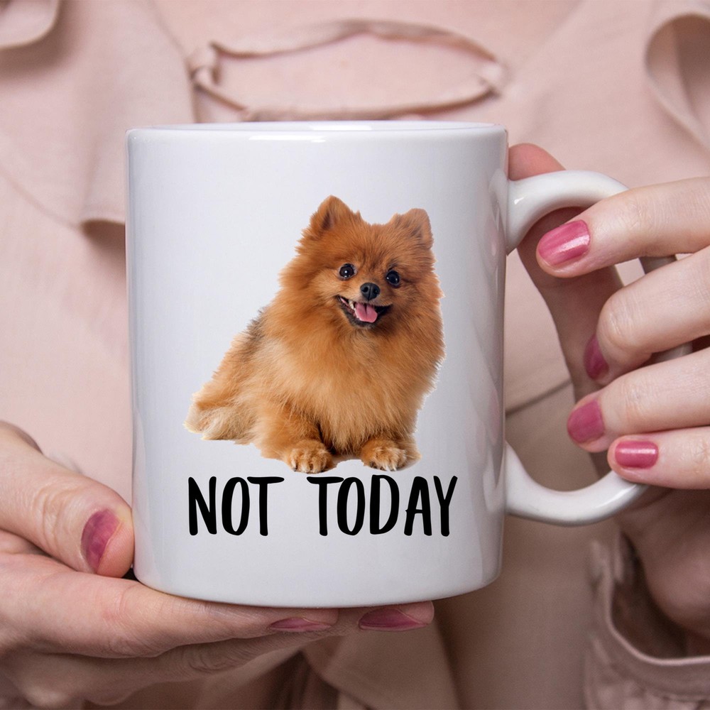 Funny German Spitz Red Not Today Dog Mug Lazy Gift For Women Dogs Mom Coffee Mug