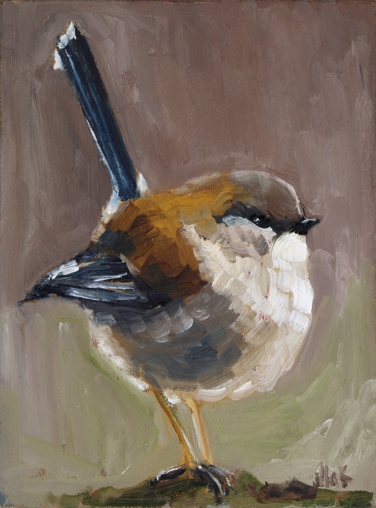 Fairy-wren Oil Painting Bird Original Small Animal Wall Art House Gift Home Art