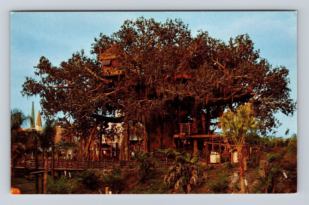 Vintage Disney World Swiss Family Treehouse Postcard Orlando Florida FL