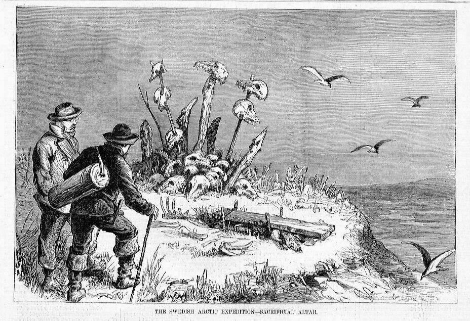 POLAR BEAR SWEDISH ARCTIC EXPEDITION IN 1876 SACRIFICIAL ALTER SKULLS SKELETON