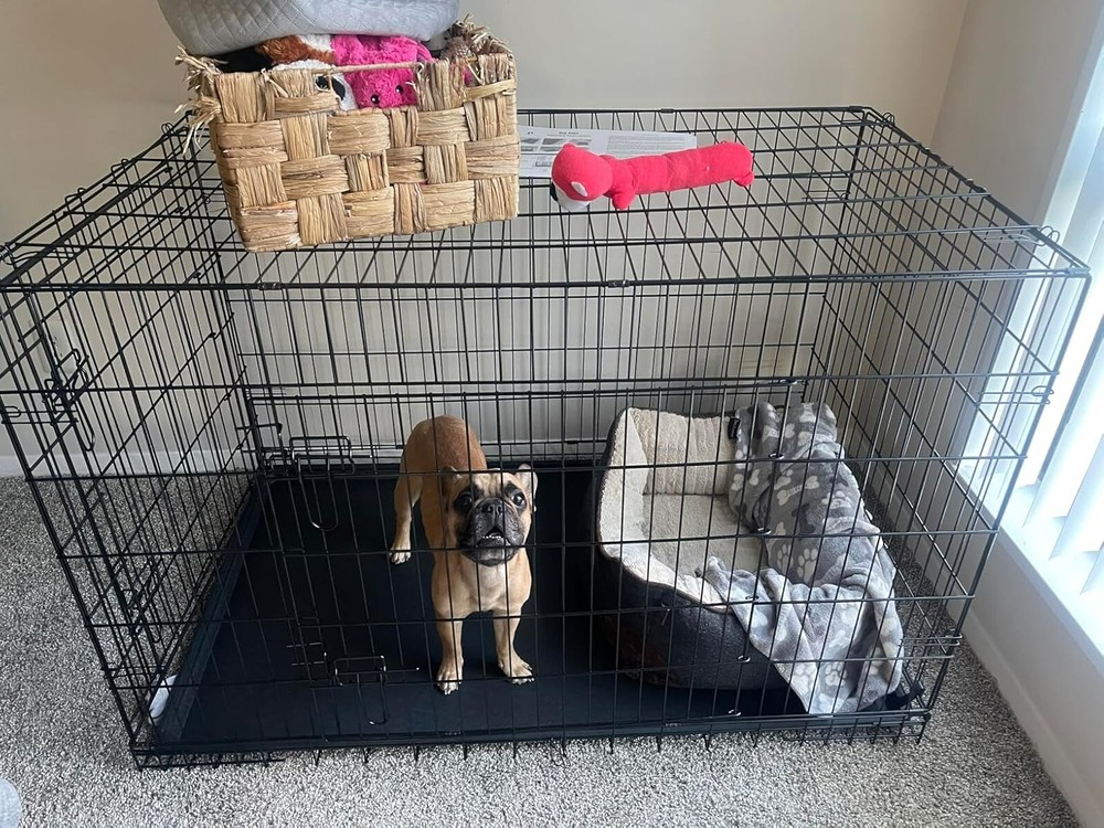 48-Inch Folding Metal Wire Dog Crate for Large Breeds Indoor Outdoor Kennel