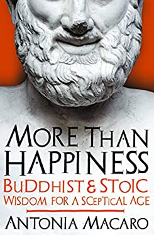 More Than Happiness : Buddhist and Stoic Wisdom for a Sceptical A