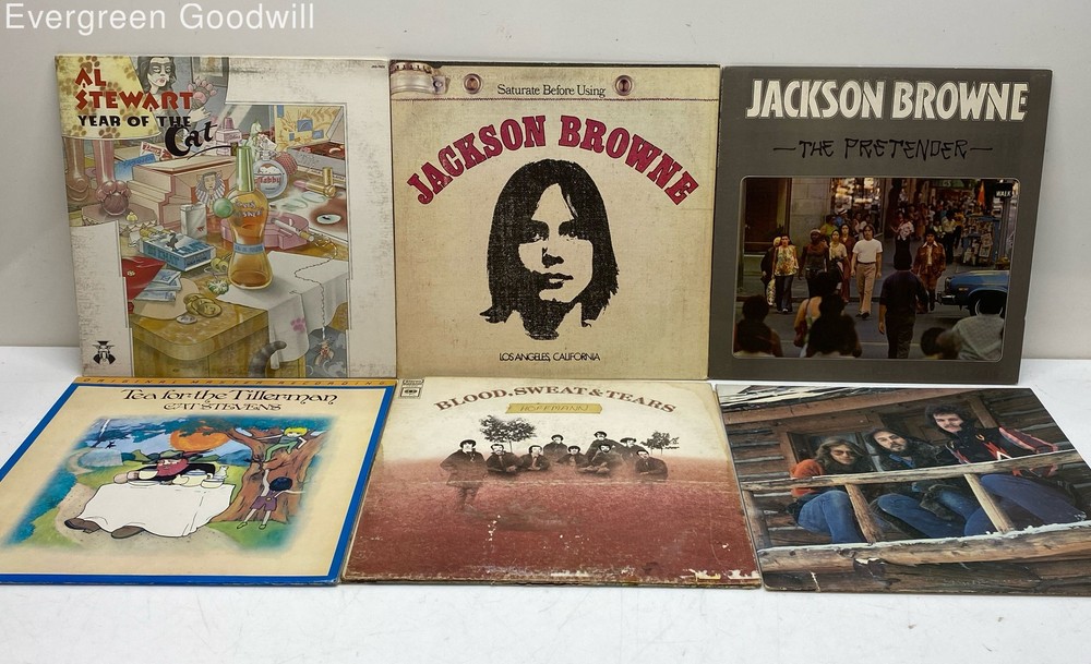 Vintage Vinyl LP Record Albums Lot Al Stewart Jackson Brown Cat Stevens America