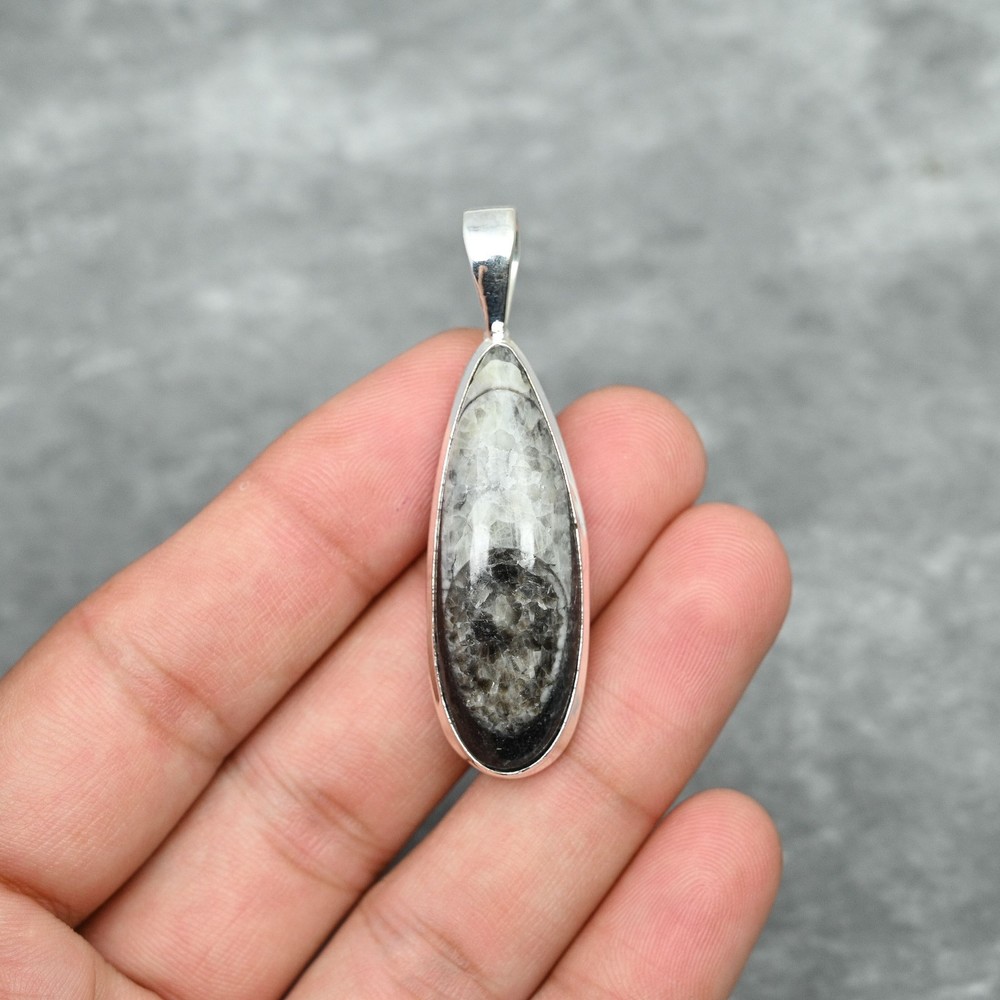 Orthoceras Fossil Gemstone Handmade 925 Sterling Silver Pendant Jewelry For Gift
