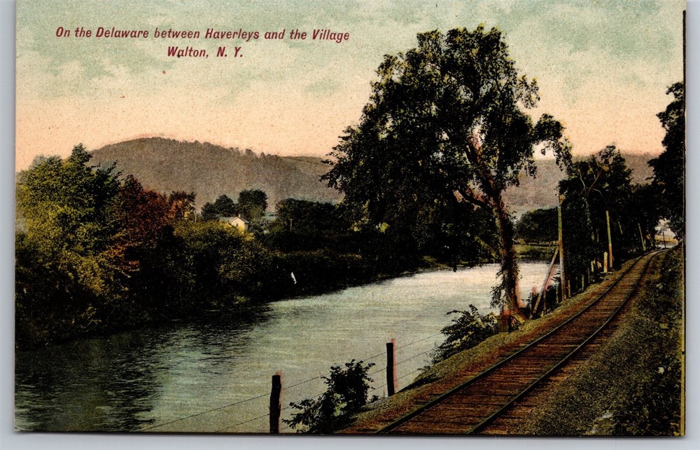Delaware River Between Haverleys & The Village Walton NY C1910's Postcard L17