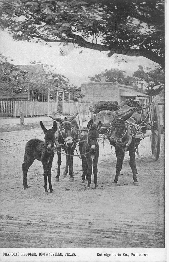 C1910 Brownsville Texas Charcoal Peddler Rutledge Curio Postcard 25-5638
