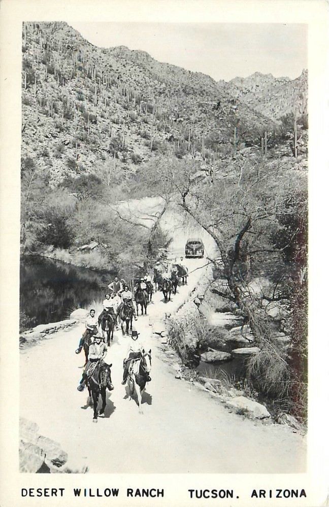 1940s Tucson Arizona Desert Willow Ranch horseback auto RPPC Postcard 25-3158