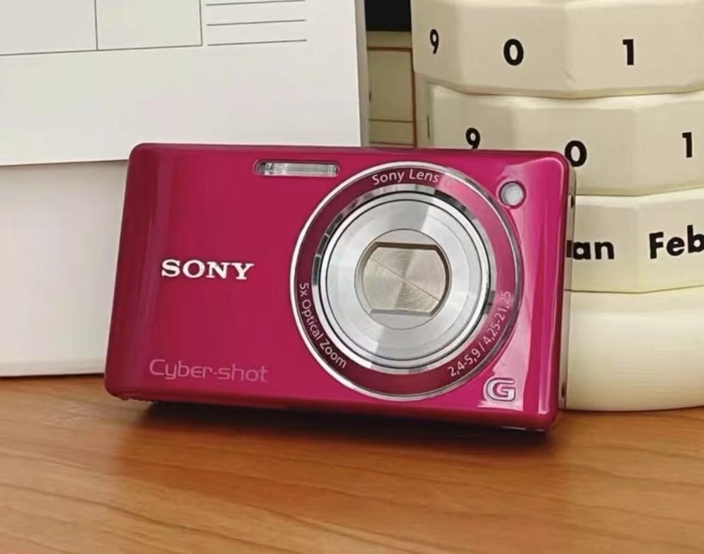 Sony Cyber-shot DSC-W380 14.1MP Pink 5x Optical Zoom Digital Camera English Version