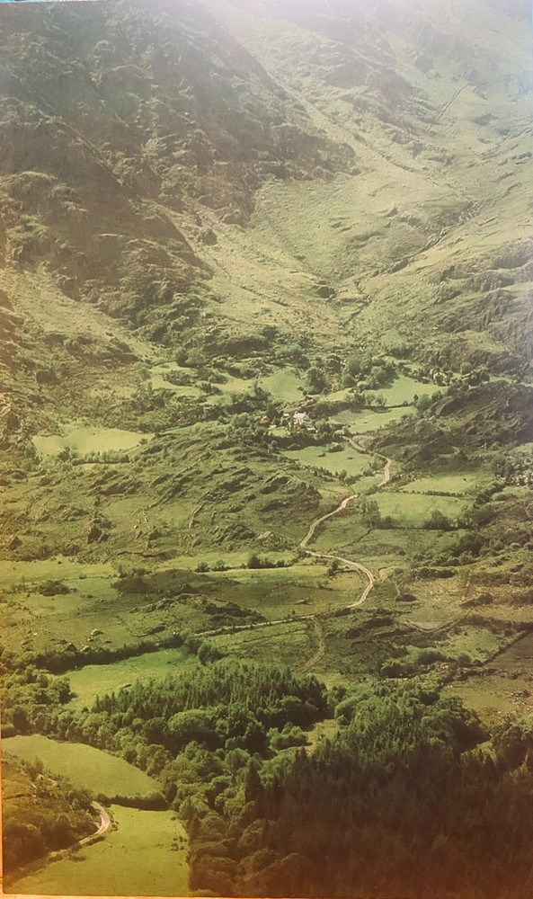 OVERSIZE Irish Postcard Healy Pass GLANMORE Farmhouse Kerry Insight Zoller PZ22