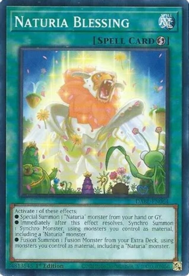 Naturia Blessing Common 1st Edition Near Mint DABL-EN064