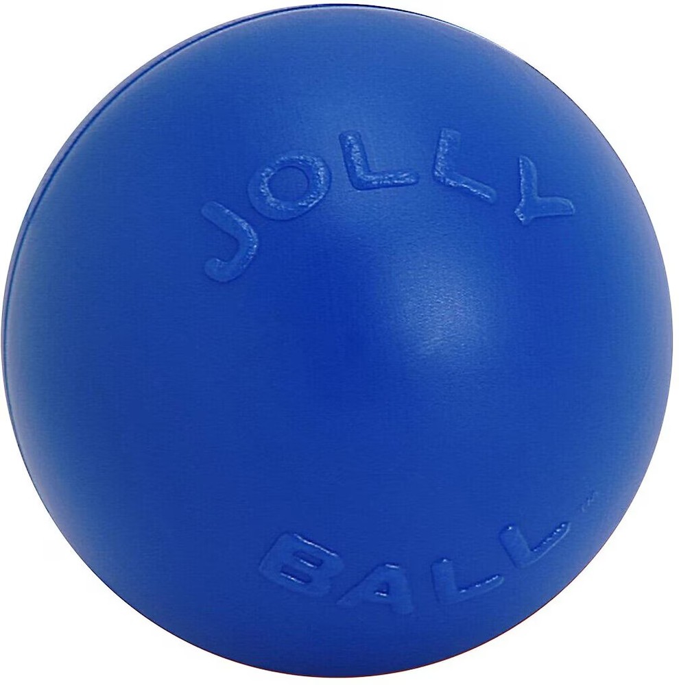 XYHLC 14-Inch Interactive Push-n-Play Dog Toy in Blue