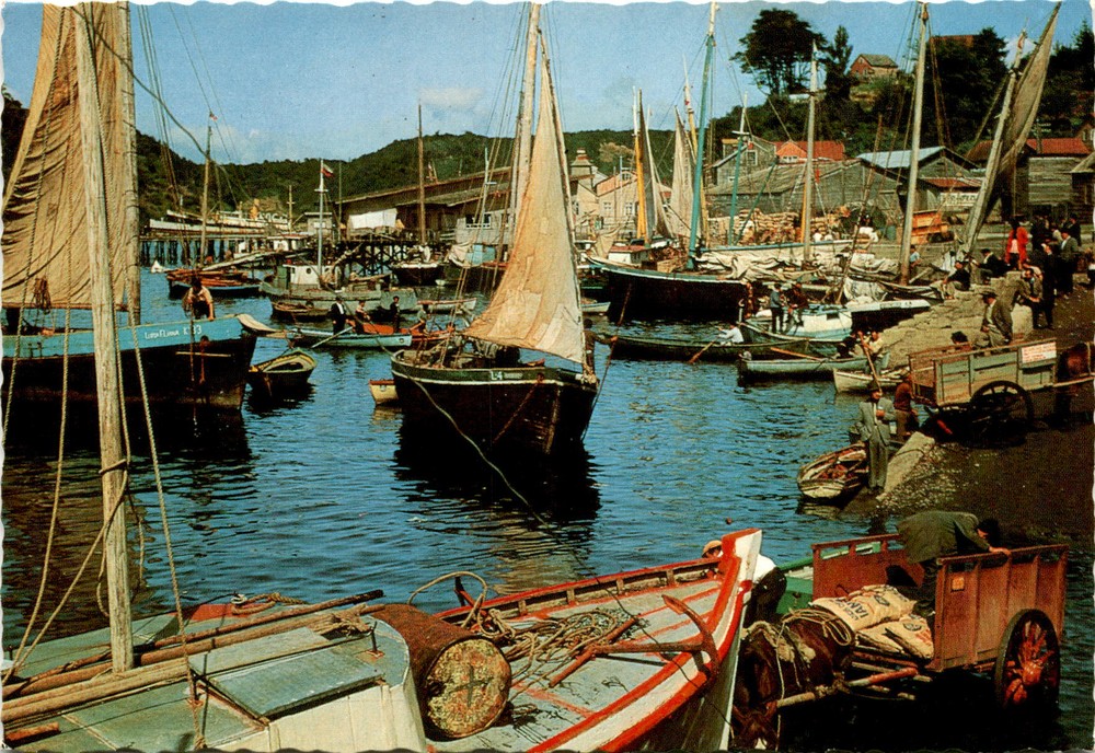 LANCHAS EN ANGELMO, PUERTO MONTT, CHILE, G Postcard