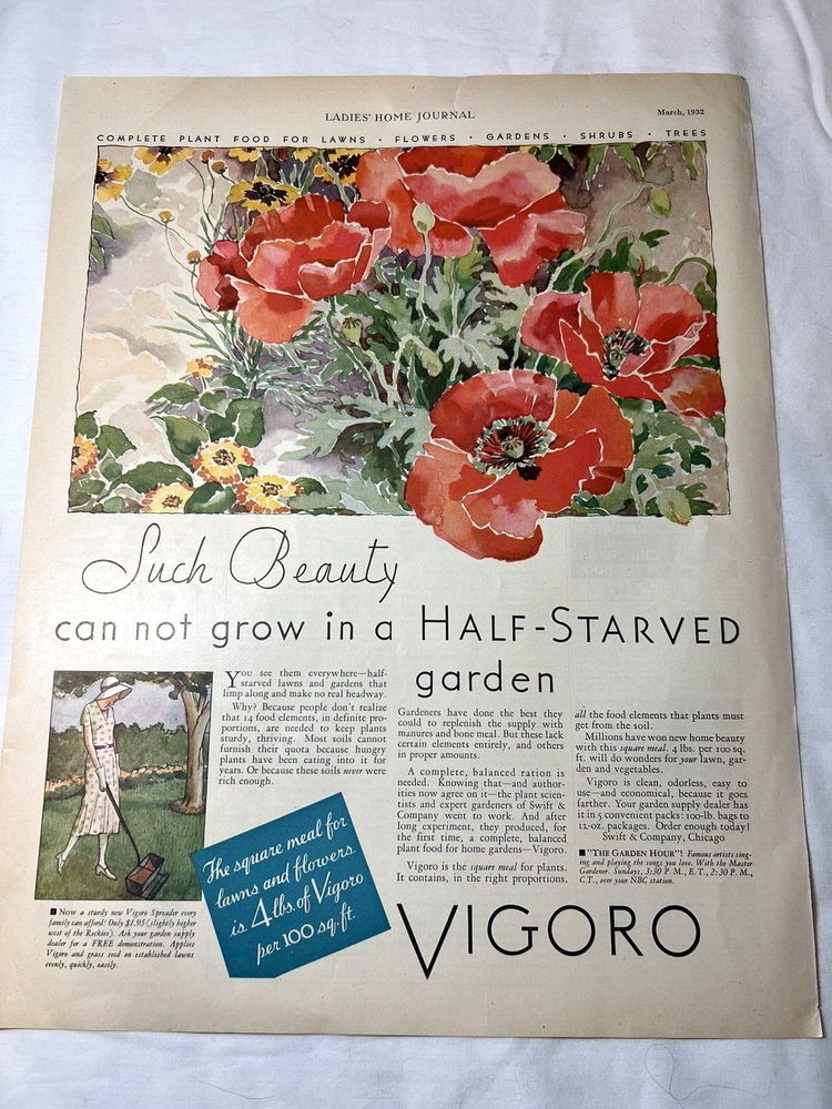 1932 Print Ad Vigoro Such Beauty Cannot Grow Flowers Garden Poppies