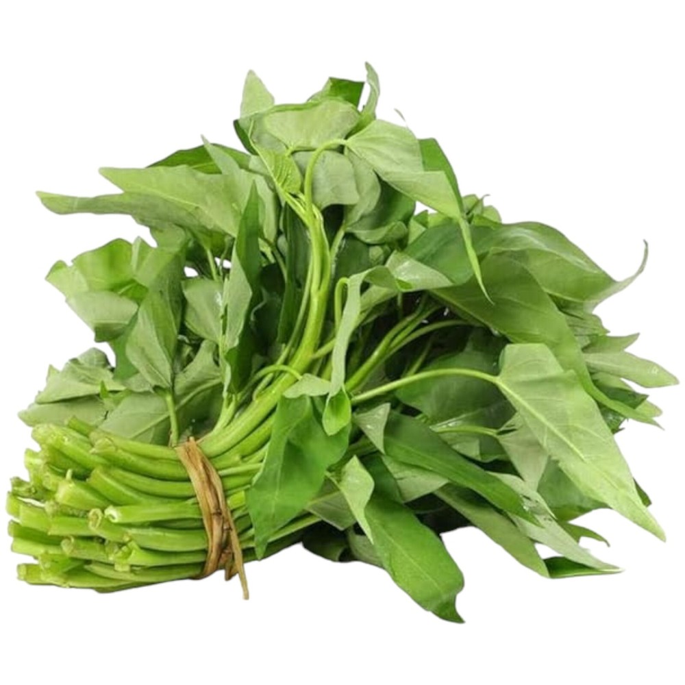 120pcs Water Spinach 'Kong Xin Cai' Seeds – Organic, Non-GMO Heirloom Vegetable