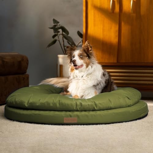 Orthopedic Dog Bed for Large Dogs 36x36 Inches Olive Branch Supportive Comfort
