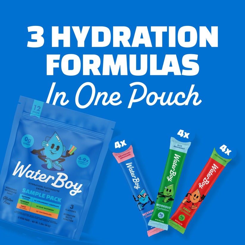 Waterboy All Hydration Variety Sports Drink 12 Pk.