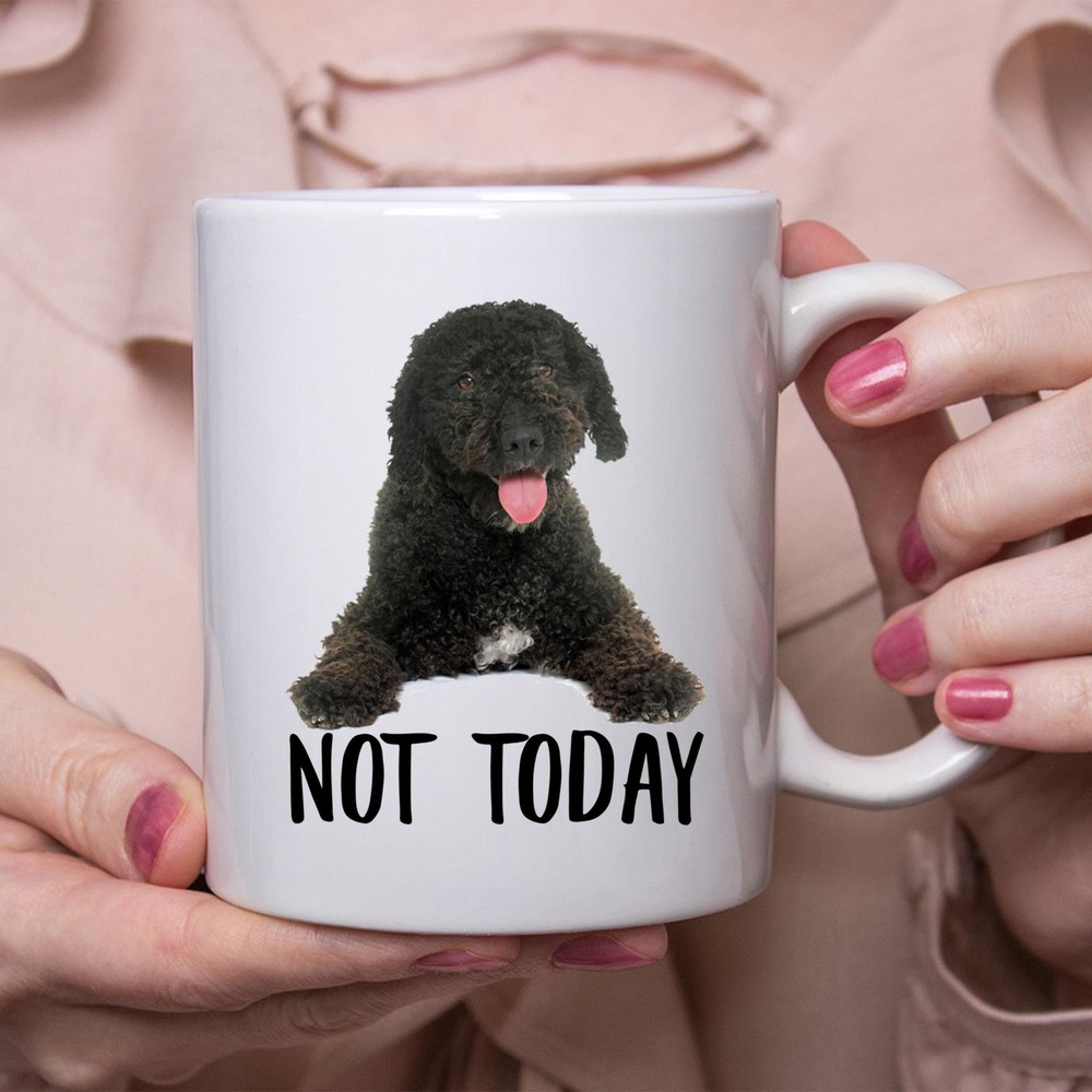 Chocolate Spanish Water Dog Not Today Mug Funny Lazy Dog Gift for Women and Dog Moms