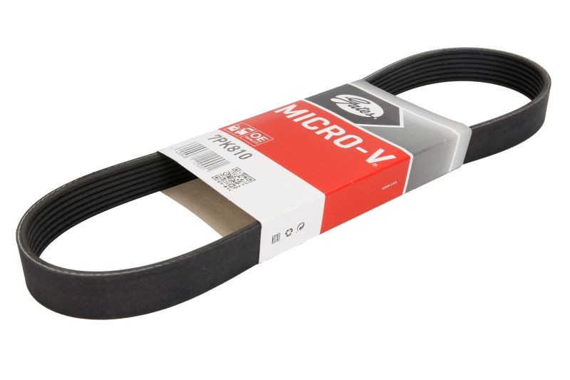 Multi-rib GAT belt for LEXUS GS, RX