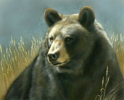 35-inch Fabric Panel Digital Black Bear Nature Field Scene by David Textiles
