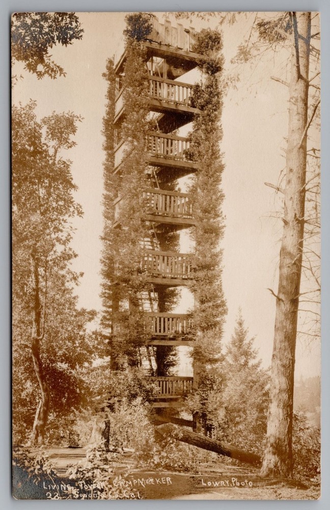 RPPC Strange Odd Living observation Tower Camp Meeker Sonoma CA