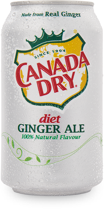 12 Cans Canada Dry Diet Ginger Ale 355ml - Limited Time Free Shipping-image
