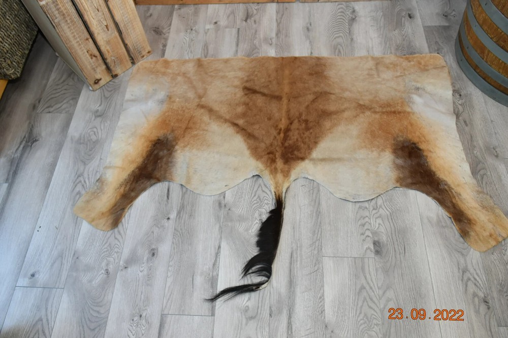 Deer Antelope Skin S-4 56