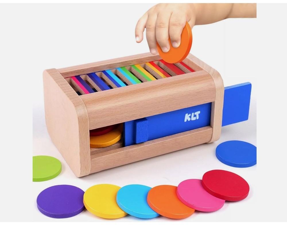 Montessori Wooden Color Sorting Toy for Toddlers - Educational Learning Game
