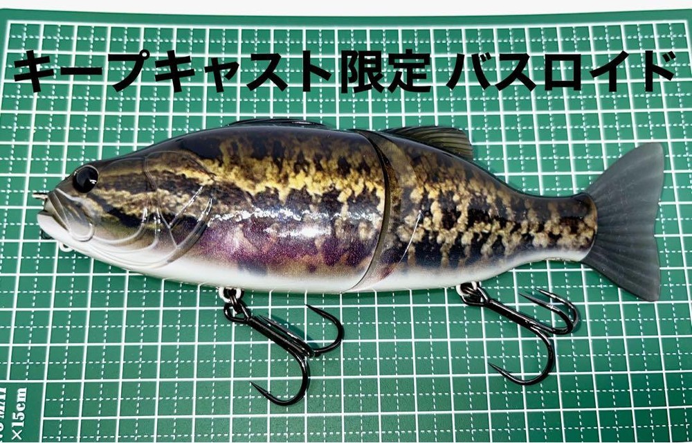 Limited Edition Imakatsu Basroid Keepcast