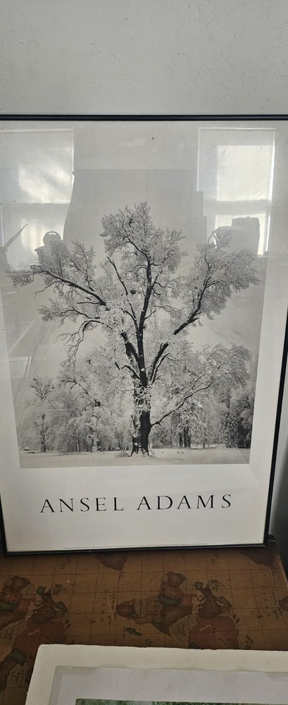 Ansel Adams Oak Tree Snowstorm Yosemite Black and White Landscape Photo