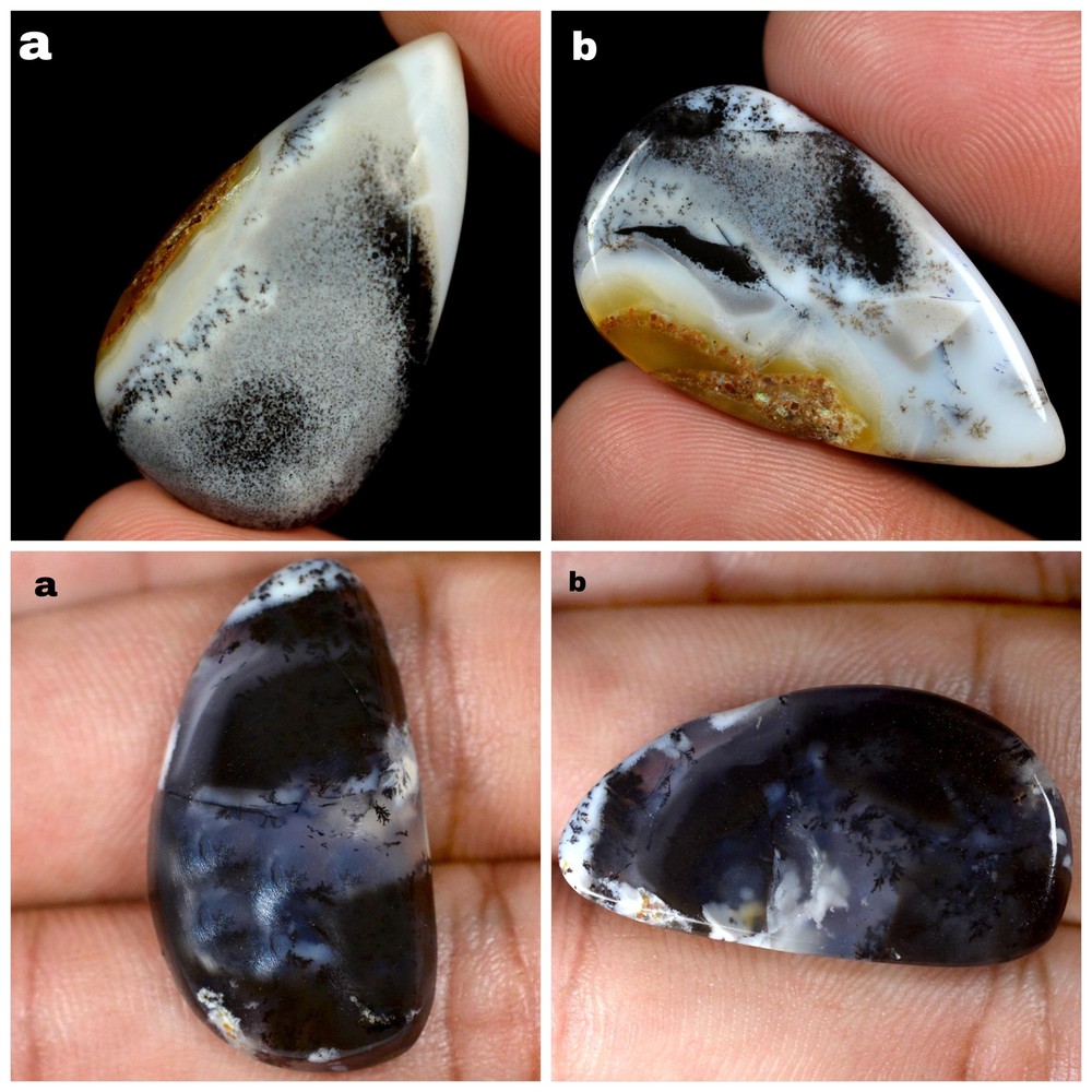 25.40,25.10 Cts 100% Natural Dendrite Opal Cabochon 2 Pcs Mixed Gemstone FY22