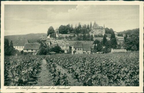 Postcard Haardter Schlößchen Haardt near Neustadt (No. 9580)