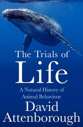 The Trials of Life: David Attenborough’s Insight into Animal Behaviour